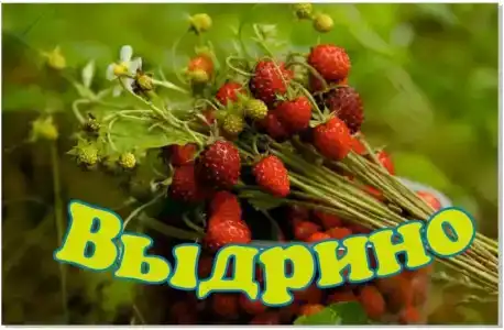 Полина - 15