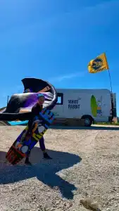 Белый Кролик - 11