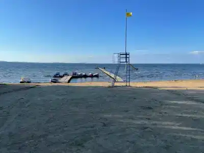 Берёзка - 50