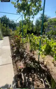 Южный Берег - 10