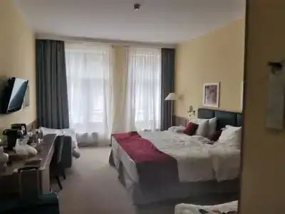 Голден Тюлип - 97