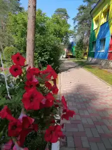 Звёздный - 10