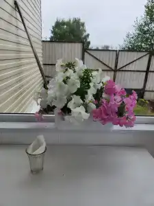 Коди Ярви - 26