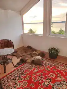 Коди Ярви - 27