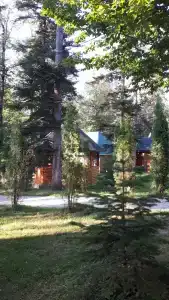 Лесной дом - 46