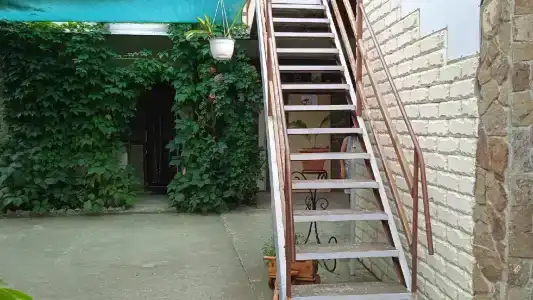 У Светика - 2