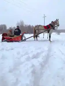 Ёлочки - 2