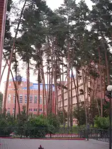 Нежеголь - 21