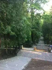 Белое солнце - 83