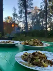 Исток - 46