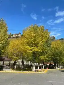 Орлиное гнездо - 48