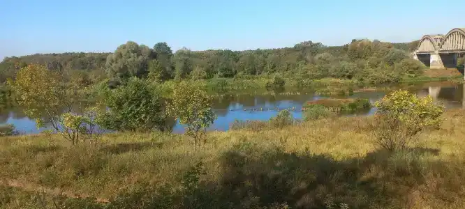 Улыбышево - 28