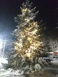 Северное Сияние - 10