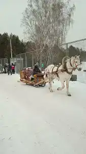 Кудряшовская заимка - 2