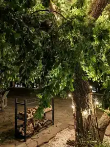 Аршан-глэмпинг - 27