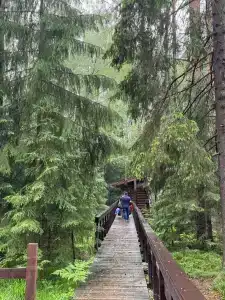 Неясыть - 40