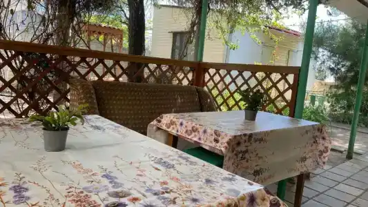 КристОля - 15