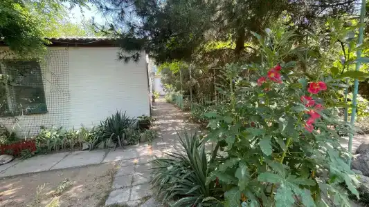 КристОля - 37