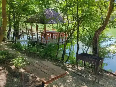 Родное - 13