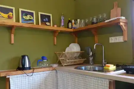 Смородина - 33