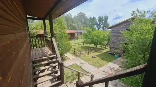 Розовый Фламинго - 29