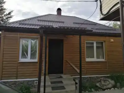 Сова - 5