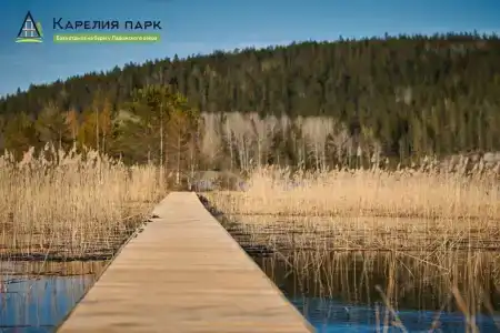 Карелия Парк - 46