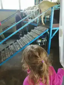 Александровский спас - 68