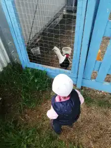 Александровский спас - 59