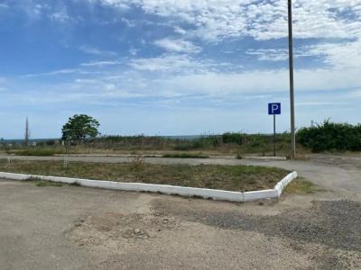 Пальмира - 56