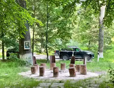 Дубрава - 2