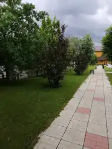 Солнечный - 80