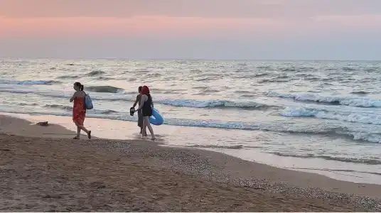 Белый Лотос - 49