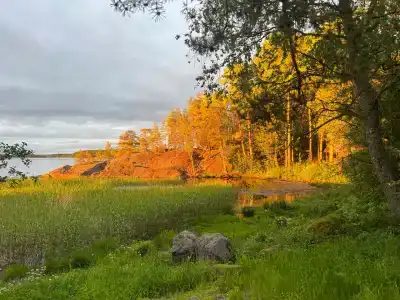 Ravansaari - 31