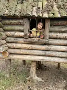 Андреевский - 43