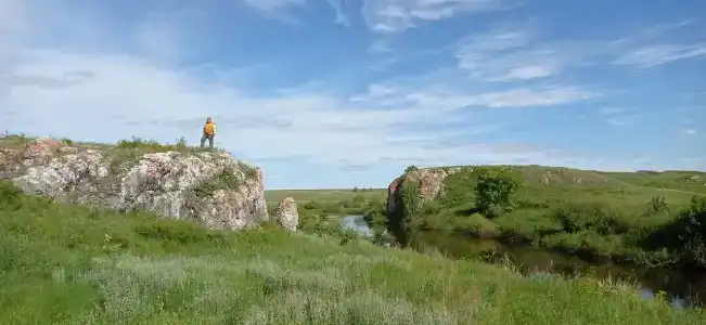 Oikos - 4