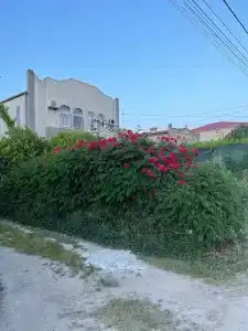 у Тамары - 3