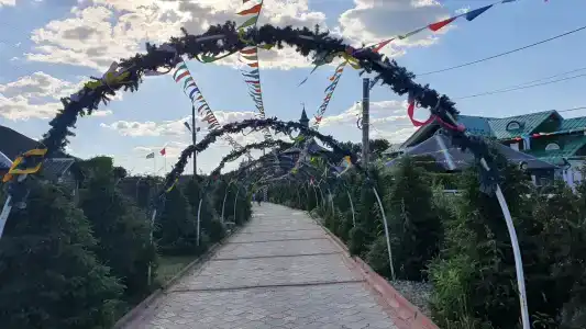 Богдарня - 12
