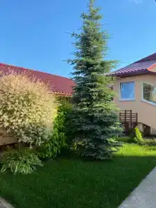 Дикий Пруд - 1