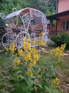 Фаворит - 3