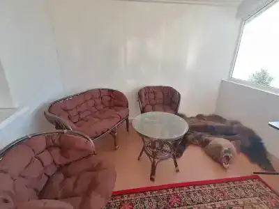 Коди Ярви - 46