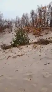 Дюны - 52