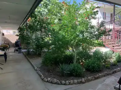 Амир-Дани - 2