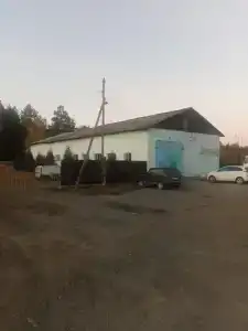 Центральная - 46