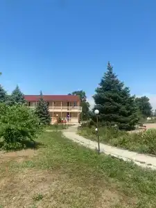 Виста - 54