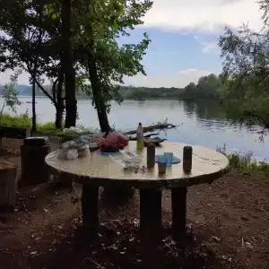 Лесная сказка - 30