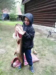 Сокол - 6