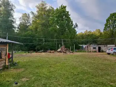 Бородино - 24