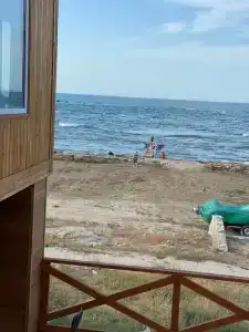 Морской Дворик - 50
