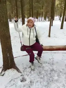Чайка - 33